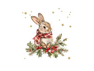 Servett Winter Bunny