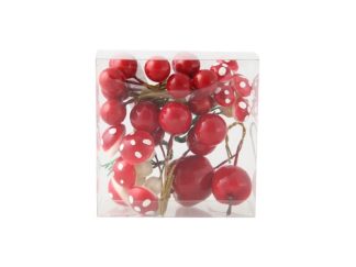 Svampar, Bär & Äpplen i Box