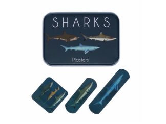 Plåster Sharks