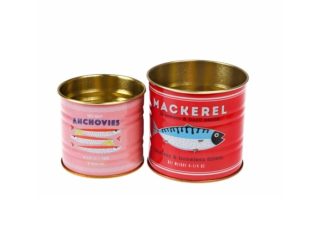 2-p Mini Förvaringsburk/ Plåtkruka Fish