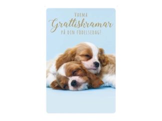 Dubbelt Kort Gratulation Nr. 800B