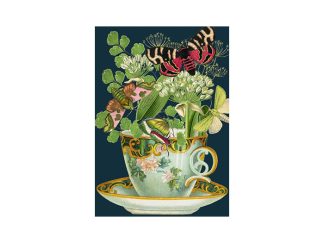 Dubbelt Kort M.T Whimsy RS238